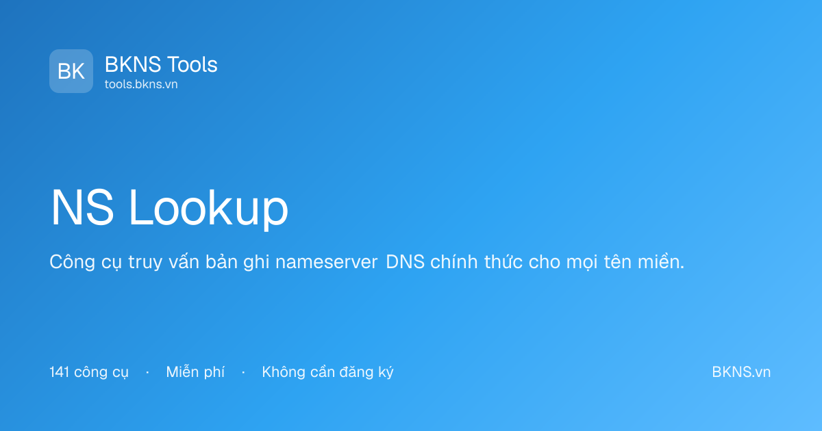 NS Lookup Tool - Query DNS Nameserver Records | BKNS