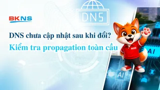 DNS chưa cập nhật sau khi đổi? Kiểm tra propagation toàn cầu