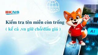 Kiểm tra tên miền còn trống (kể cả .vn giữ chỗ/đấu giá)