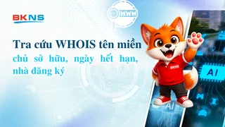 Tra cứu WHOIS tên miền: chủ sở hữu, ngày hết hạn, nhà đăng ký