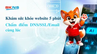 Khám sức khỏe website 5 phút: chấm điểm DNS/SSL/Email cùng lúc