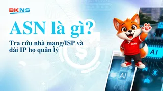 ASN là gì? Tra cứu nhà mạng/ISP và dải IP họ quản lý
