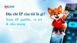Địa chỉ IP của tôi là gì? Xem IP public, vị trí & nhà mạng