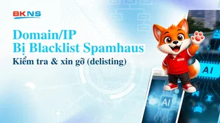 Domain/IP bị blacklist Spamhaus: kiểm tra & xin gỡ (delisting)