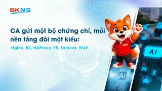 CA gửi một bộ chứng chỉ, mỗi nền tảng đòi một kiểu: Nginx, IIS, HAProxy, F5, Tomcat, WAF